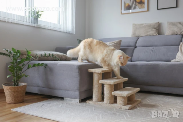 Стълба за котки и малки кученца, 45 х 35 х 34 см. - Kerbl Animal Stairs Easy Climb - Модел: 80922, снимка 3 - За котки - 51114884