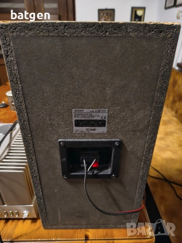 Sony ss-nx1, снимка 2 - Тонколони - 51955620