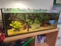 Три  Аквариума , снимка 1