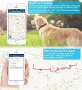 Winnes Collar GPS без абонамент за кучета, GPS тракер, снимка 2