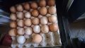 Продавам домашни яйца, снимка 1 - Домашни продукти - 45056150