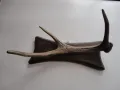 Ловен трофей закачалка еленов рог , снимка 8
