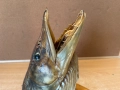 голяма препарирана глава на щука/сувенир за стена/, снимка 2