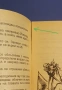 "Дракон в мазето" и "Тайната на орките" - книги-игри, снимка 6