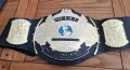 Шампионски пояс WWE Winged Eagle Championship WWF световната титла в кеча Mattel детски belt колан, снимка 1
