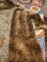 Страхотно палто манто от визон , снимка 14