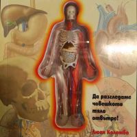 Надникни в човешкото тяло- Люан Коломбо, снимка 1 - Енциклопедии, справочници - 45299324