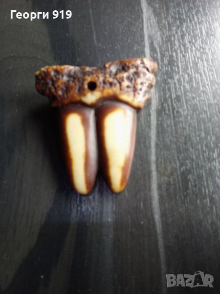 Висулка зъби , снимка 1