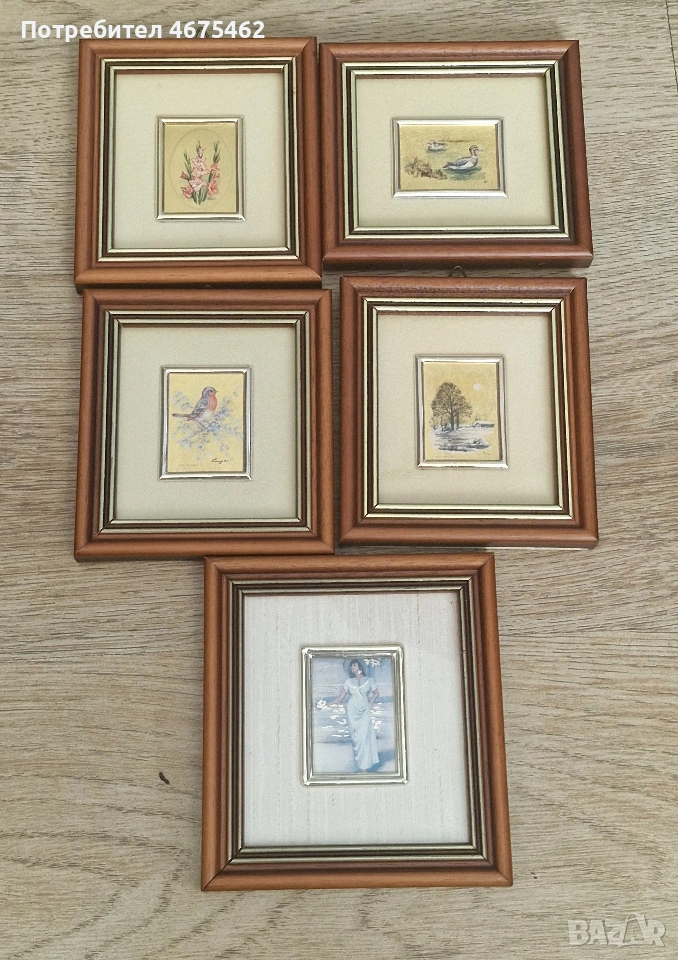 Природни миниатюри в дървена рамка , снимка 1