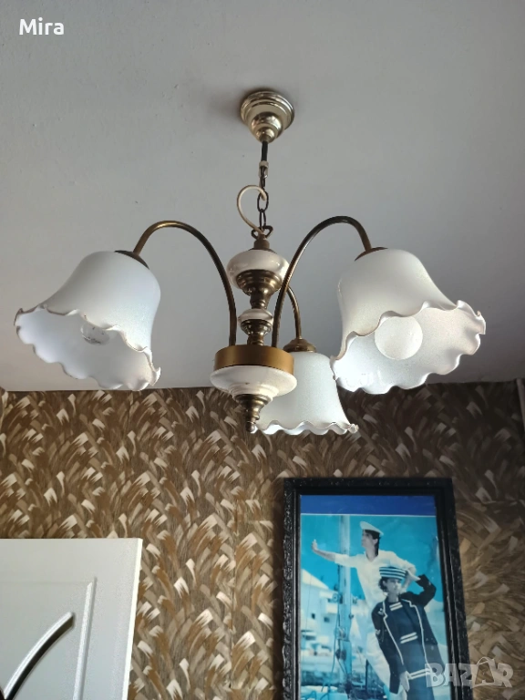 Полилей, снимка 1