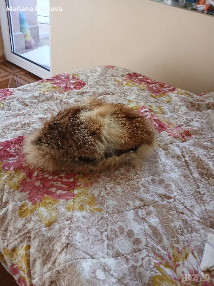 Земна шапка от лисица, снимка 1