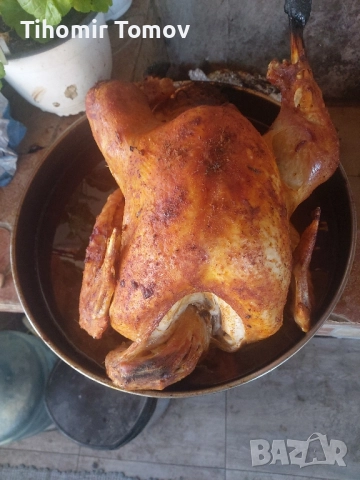 Продавам домашно гледани пуйки пуяци петли кокошки , снимка 10 - Кокошки и пуйки - 52299775