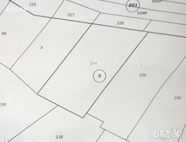 Ливада Цигов чарк гр. Батак