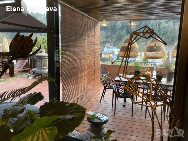 ЩОРА - СЕННИК ЗА БАРБЕКЮ