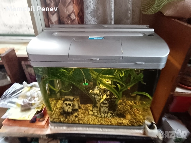 Аквариум , снимка 5 - Оборудване за аквариуми - 51778505