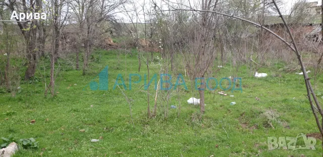 Парцел в регулация малка къща в с. Тракиец, община Хасково, снимка 6 - Парцели - 49654353