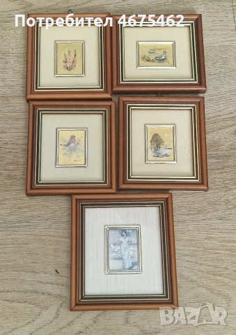 Природни миниатюри в дървена рамка 