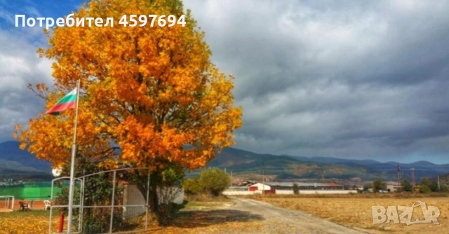 Продава се Парцел в гр Велинград, снимка 9 - Парцели - 51749314