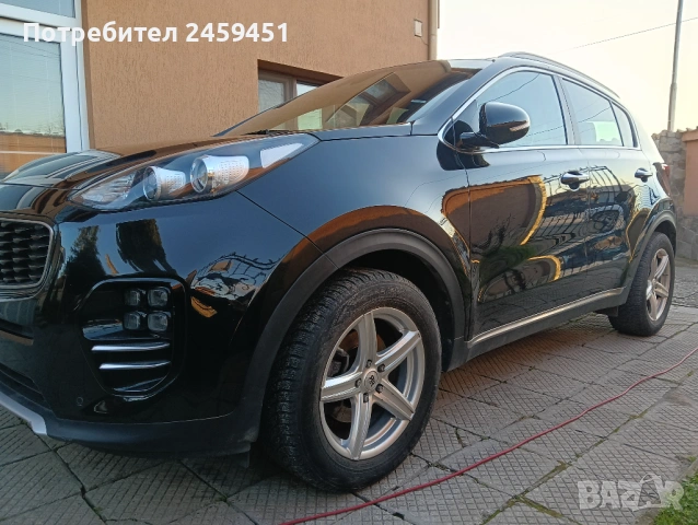 Професионално пастиране