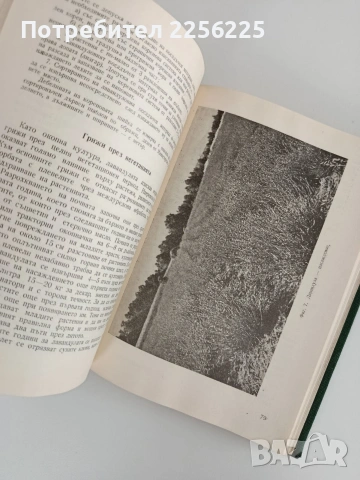 Етерично маслени и медицински култури, снимка 4 - Специализирана литература - 53112912