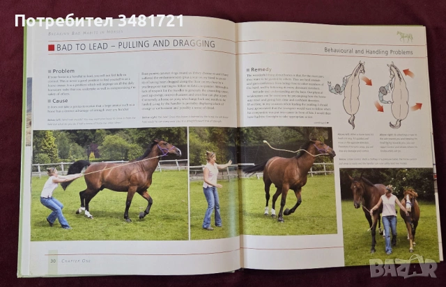 Справяне с лошите навици при конете / Breaking Bad Habits in Horses, снимка 5 - Енциклопедии, справочници - 53748575