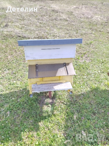 пчелни кошери Дадан-Блат 12 рамкови , снимка 6 - За пчели - 54009773
