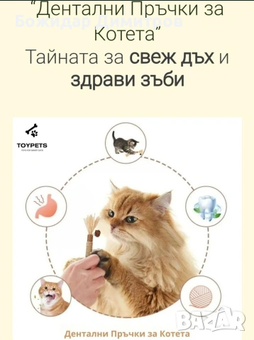 аксесоари за коте , снимка 6 - За котки - 54236471