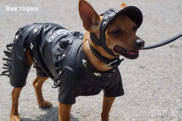 Кожени дрешки за кучета- рокери, снимка 13 - За кучета - 46082640