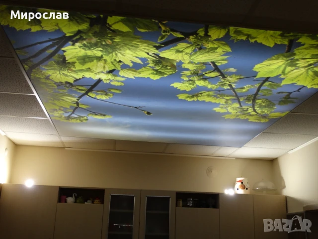 електро услуги и електроника в област Пловдив, снимка 14 - Електро услуги - 50925728