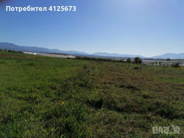 Продава къща и земеделска земя, снимка 16 - Къщи - 52563756