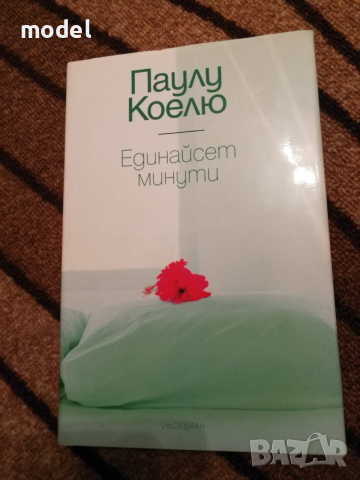 Книги Паулу Коелю Воинът на светлината Алхимикът Хипи , снимка 8 - Художествена литература - 30097599