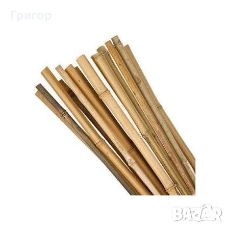 На едро и дребно! Топ цена! Бамбукови колчета! , снимка 3 - Градински цветя и растения - 53680076