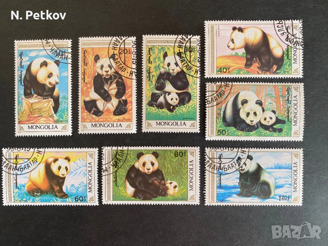 Монголия, Панди