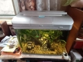 Аквариум , снимка 5