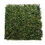 Зелено пано за стена с UV защита, 50*50 см Код P1181, снимка 2