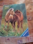 Пъзел "Two Island Ponies” Ravensburger 1980г. 750 части, снимка 1