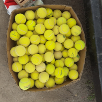 Жълти топки за тенис, снимка 1 - Детски топки - 45035938