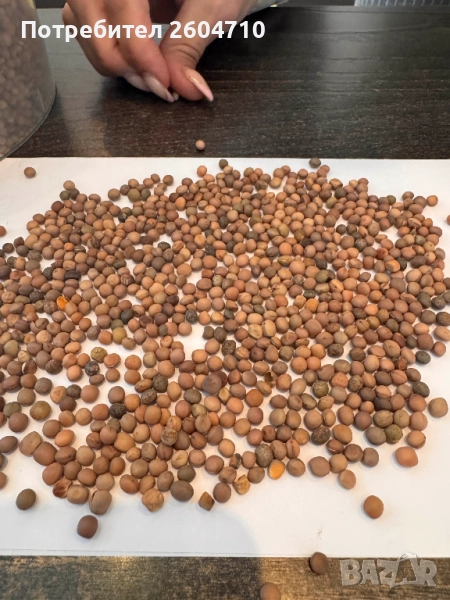 продавам ФИИ ФИЙ за семена, снимка 1