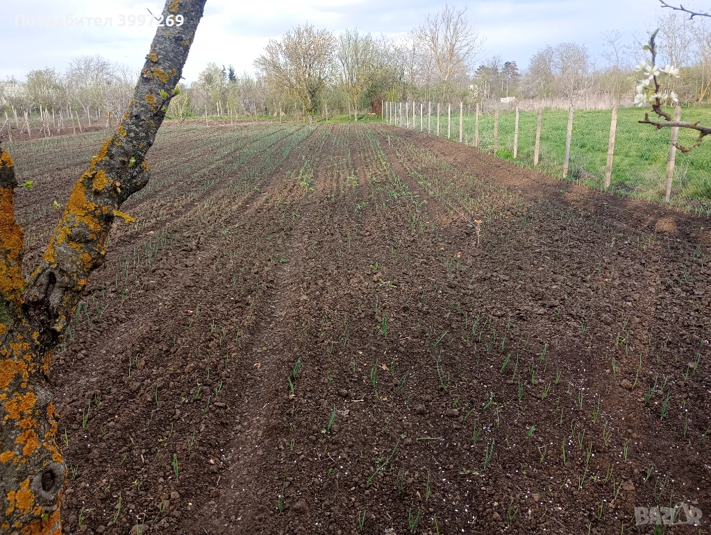 Продавам парцел с.Методиево, снимка 1