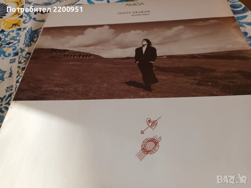 TANITA TIKARAM, снимка 1