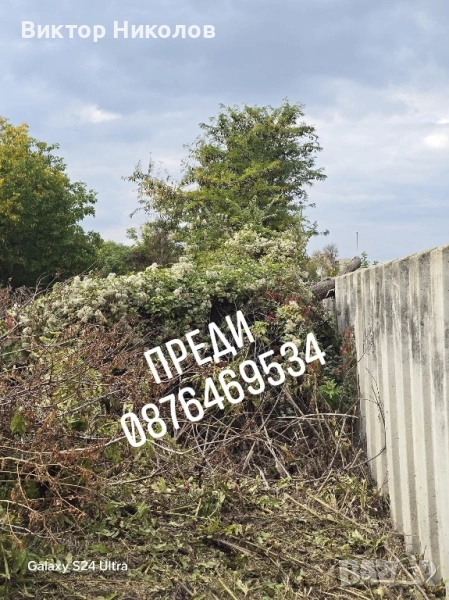 Почистване на дворове, мазета, тавани , снимка 1