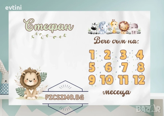 Месечинка – платно за снимане на бебе за момиче – Принцеси и за момче превозни средства, снимка 6 - Други - 36850966