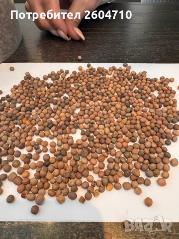 продавам ФИИ ФИЙ за семена