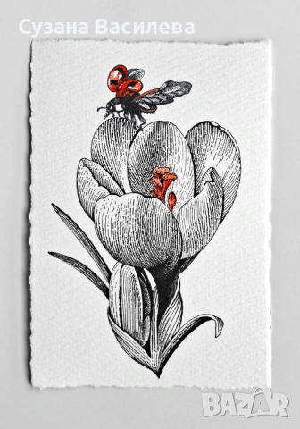 Нежни графични рисунки на цветя – ръчна изработка, снимка 5 - Картини - 53852610
