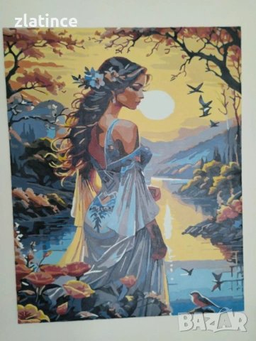 Ръчно рисувани картини по номера 40×50 см, снимка 3 - Картини - 54017468