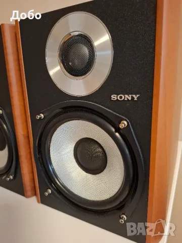 Тонколони Sony SS-CCPZ2, снимка 5 - Тонколони - 48811656