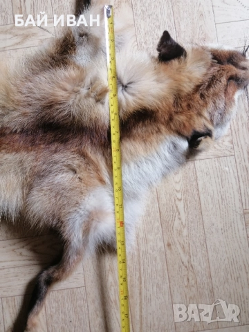КОЖА ОТ ЛИСИЦА , снимка 7 - Други животни - 52121490