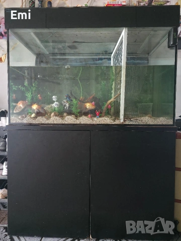 Аквариум със шкаф 400л., снимка 2 - Аквариуми - 54253859