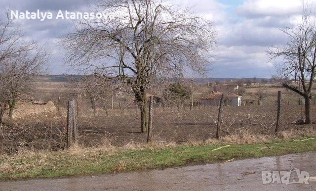 Къща за продажба в Сърнец, област Добрич, снимка 12 - Къщи - 53656508