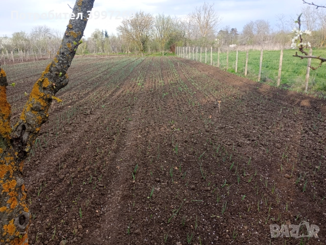 Продавам парцел с.Методиево